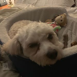 Meet your Posher, Cristian